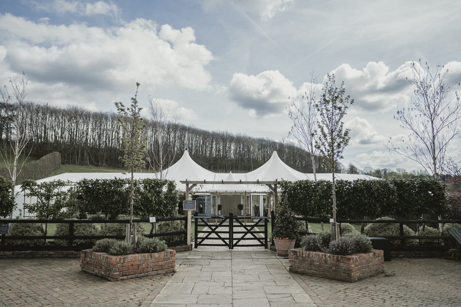 The Arboretum marquee glowing at dusk