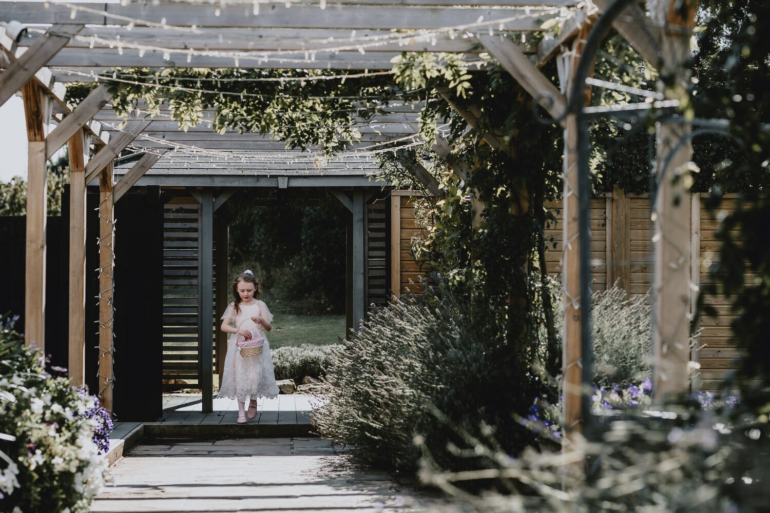 A couple beneath the wisteria and rose-covered pergola on the lavender walk