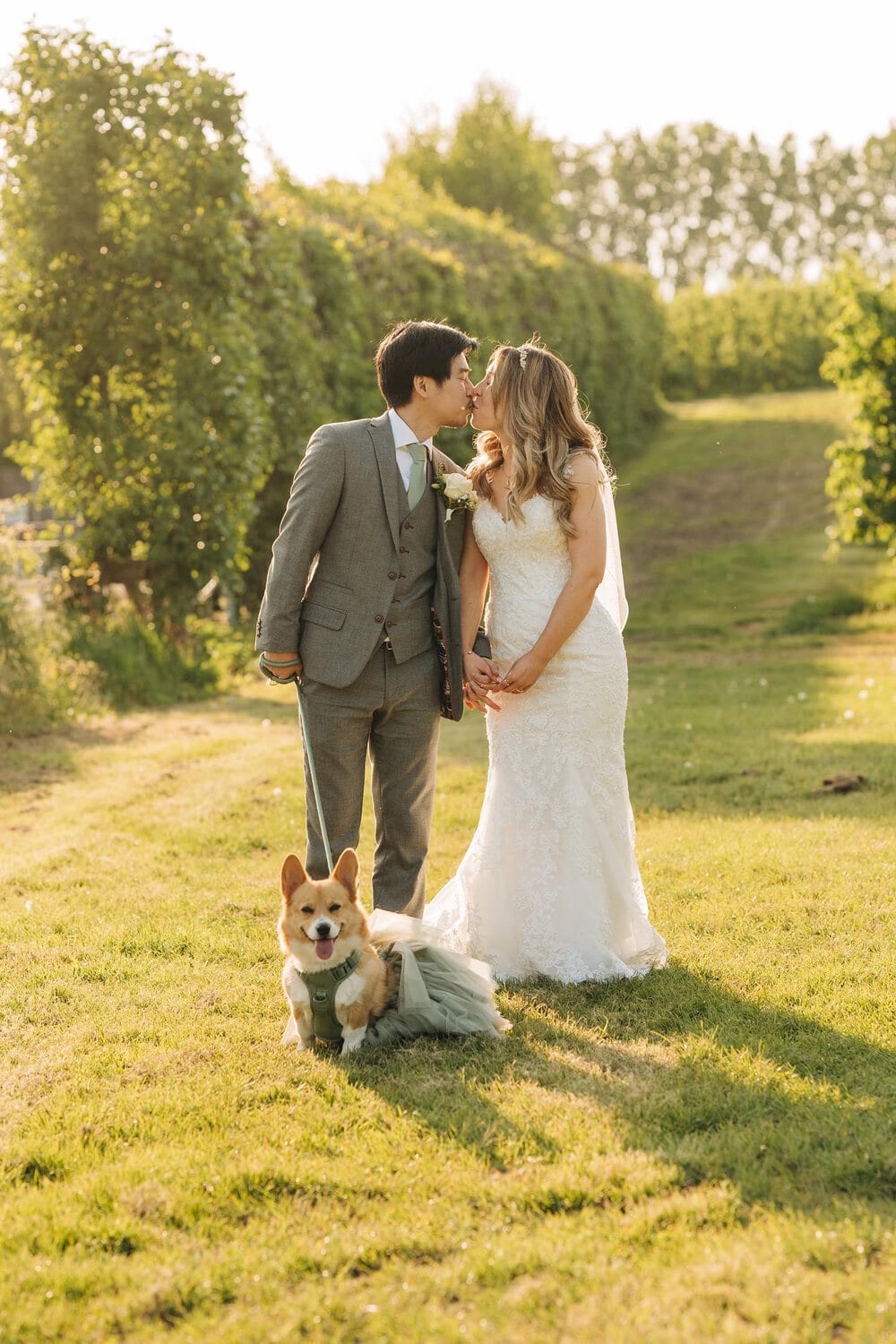 A dog joining a couple on their wedding day at The BarnYard