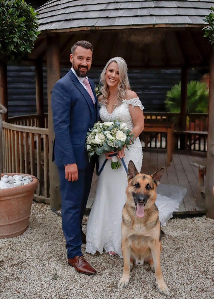 A dog with the wedding party at The BarnYard