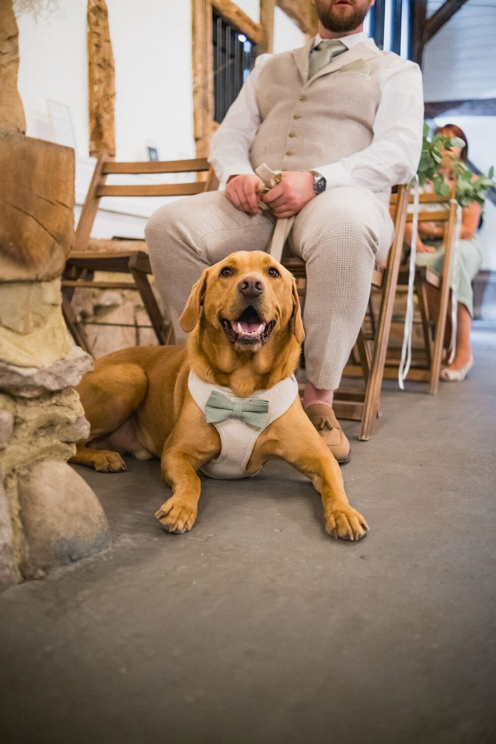 A dog with the couple after the ceremony