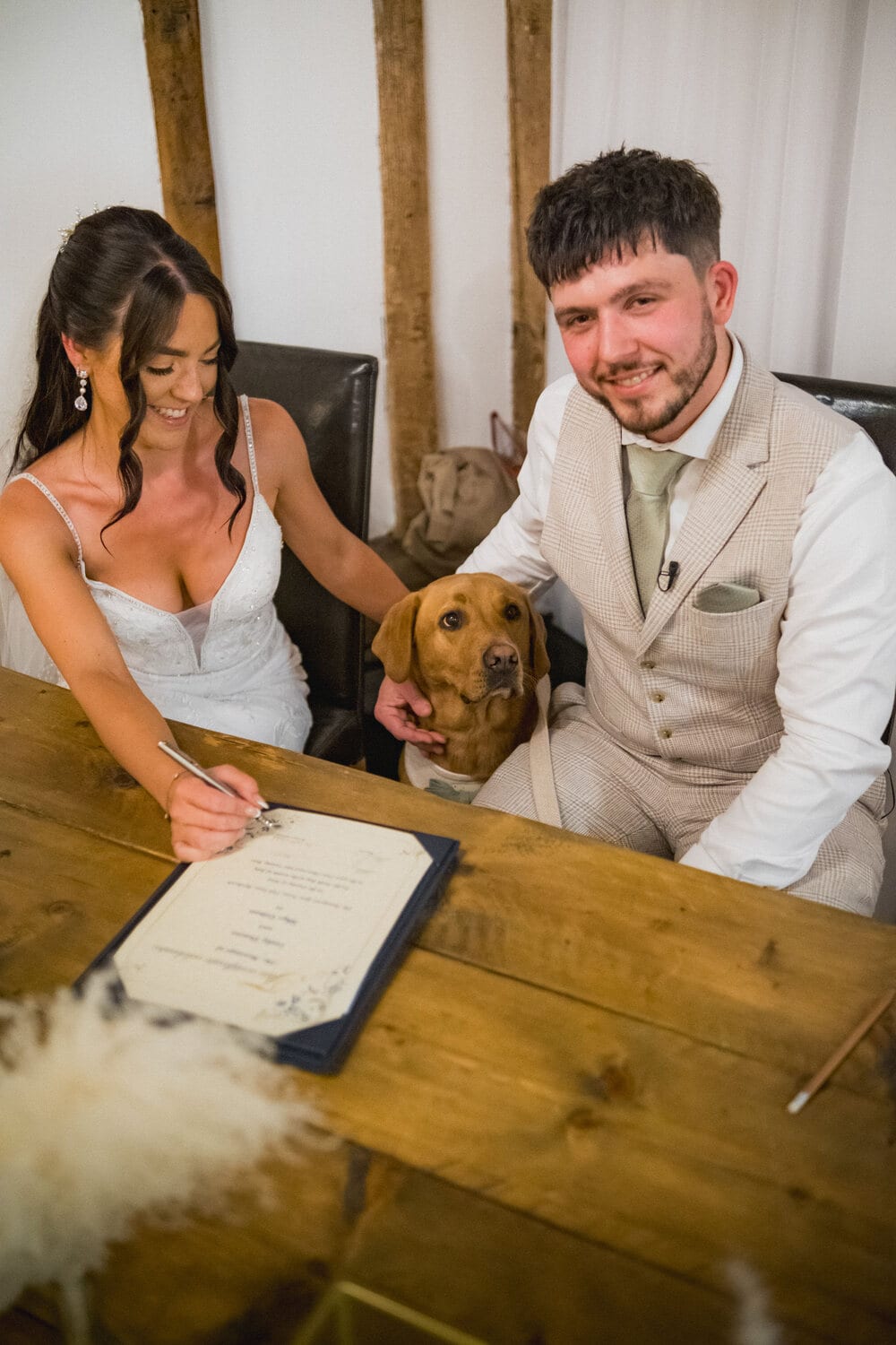 A dog dressed up for the big day