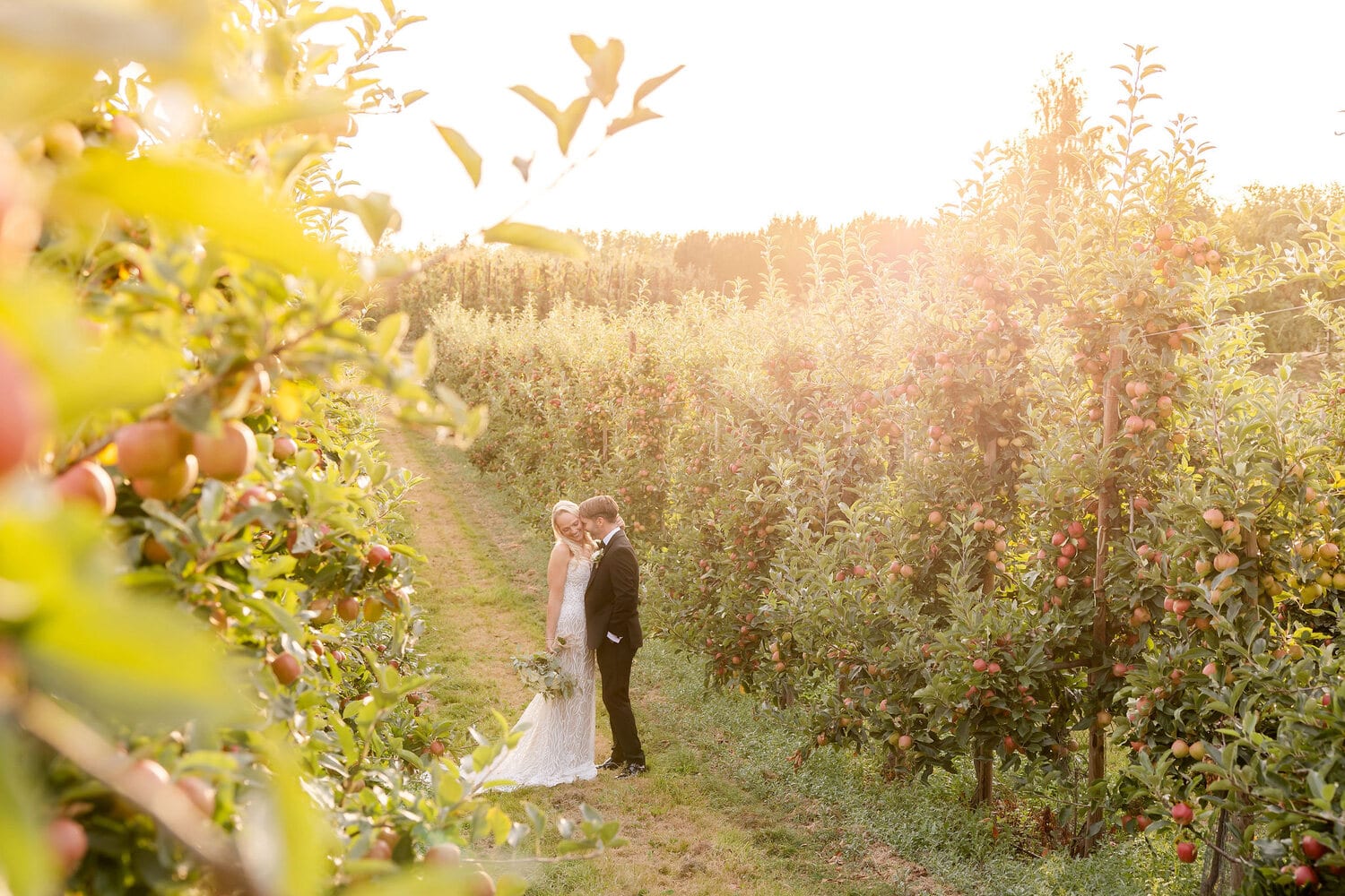 A couple among the orchard trees