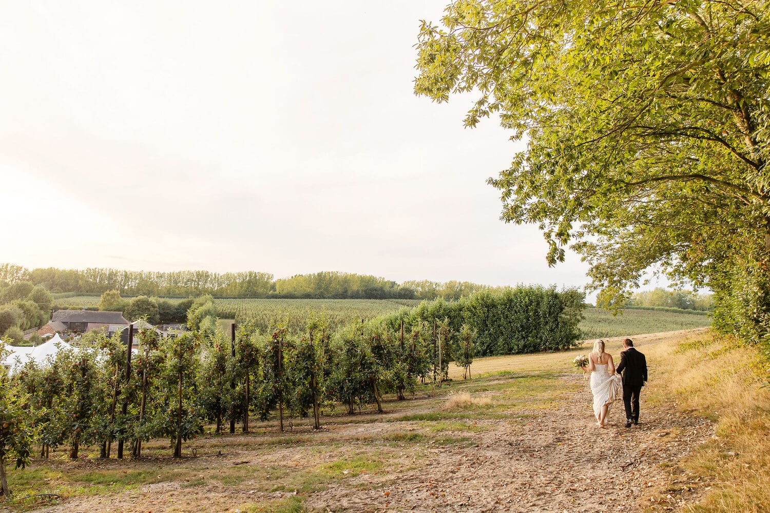 A couple in the orchard in bloom