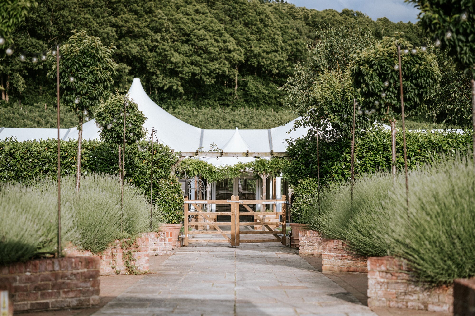 The lavender walk leading to The BarnYard in Kent, the kind of day a gift voucher gives