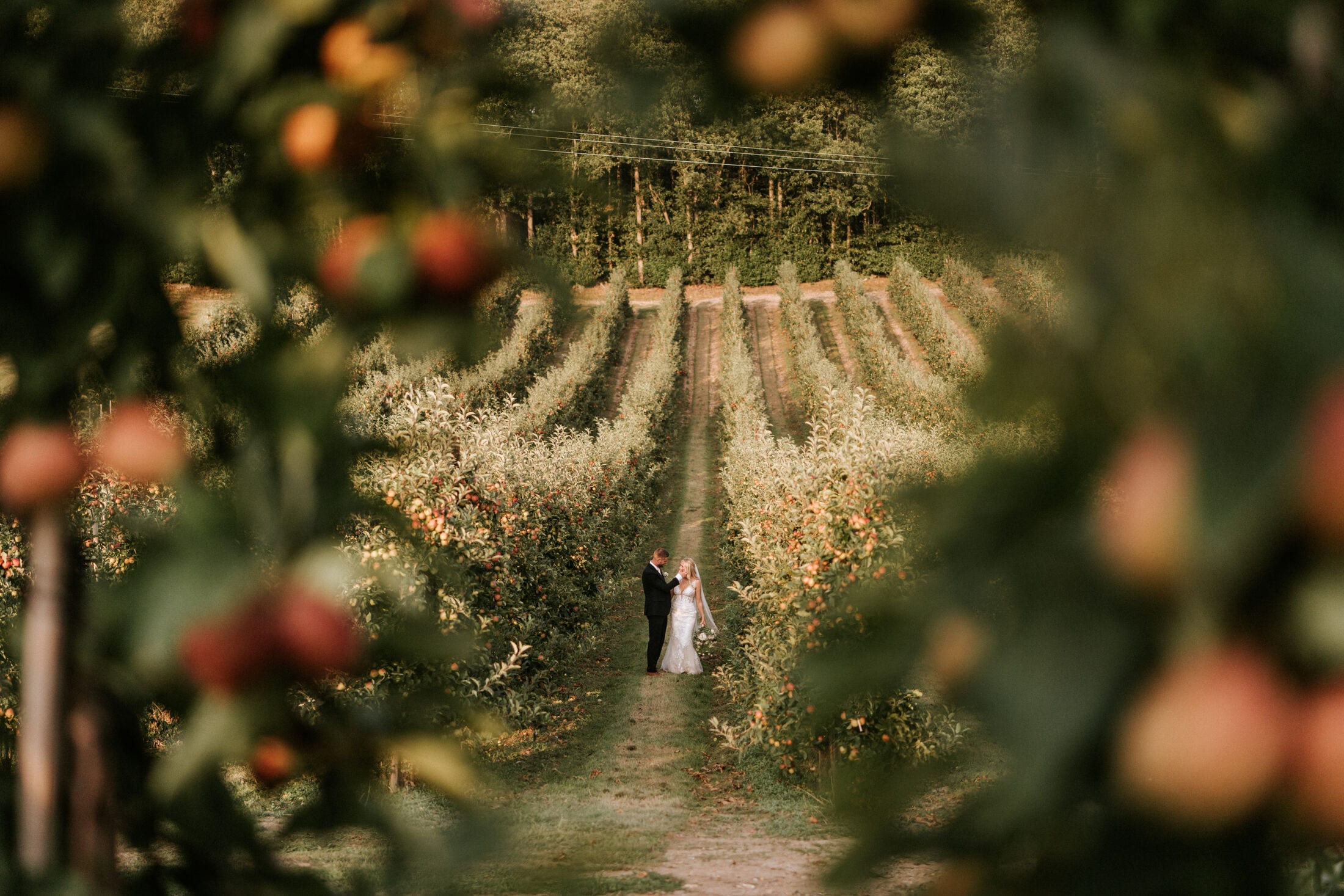 A couple in The BarnYard's apple orchards at golden hour