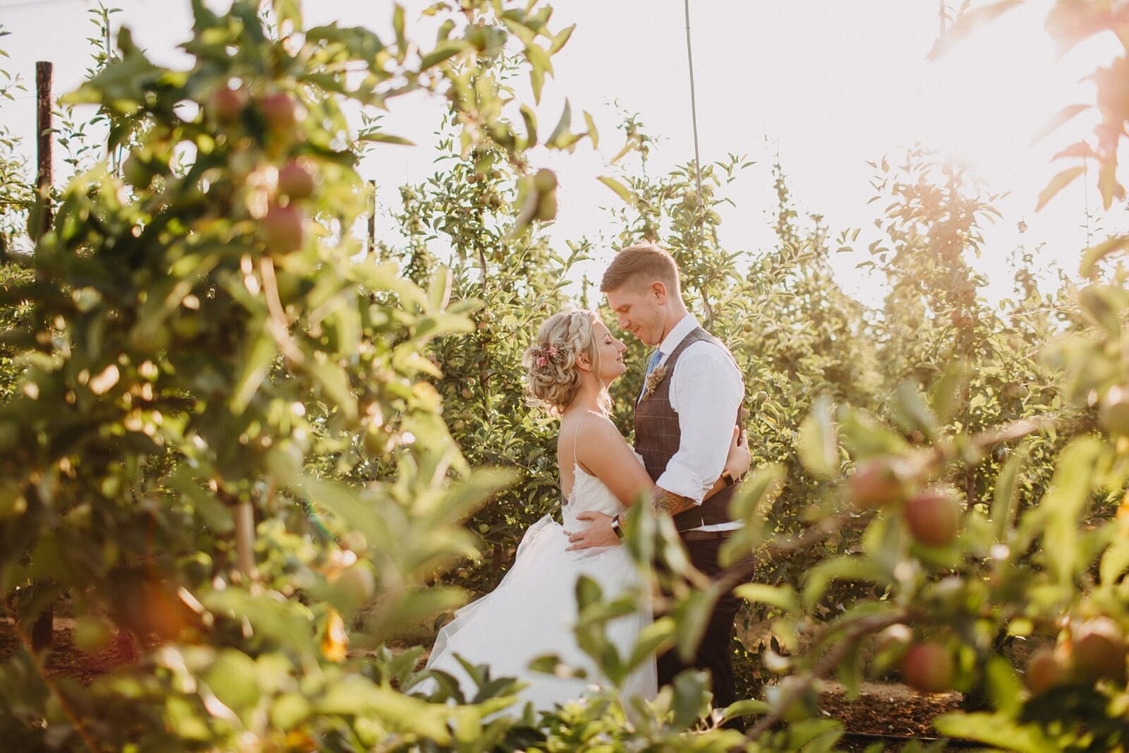 A couple in the orchard at golden hour
